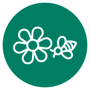 Biodiversity