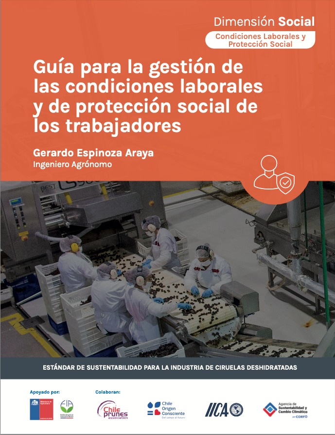 Guide: Working conditions and social protection